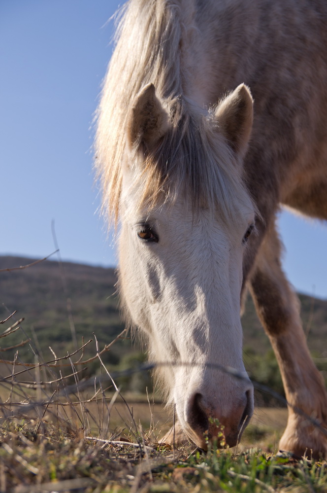 Un portrait