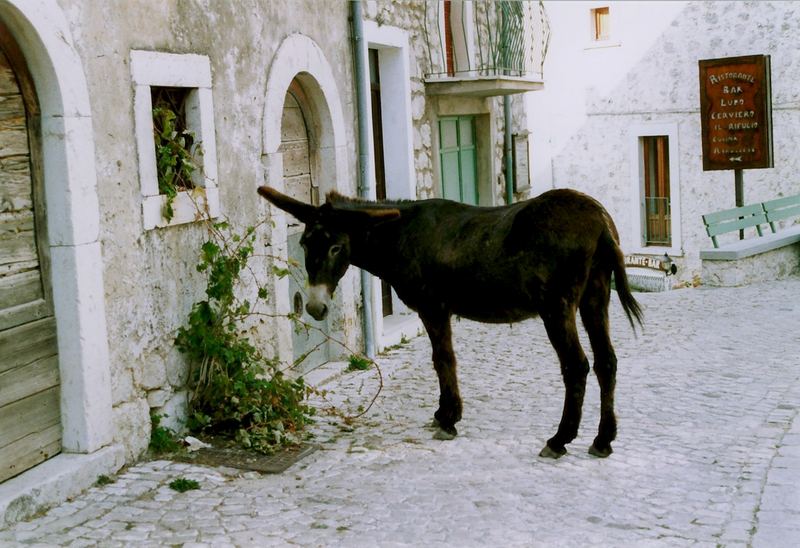 Un pranzo in paese.....disturbato