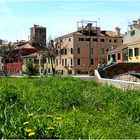 Un prato a Venezia