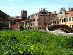 Un prato a Venezia