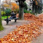 Un pré carré d'automne jalousement gardé