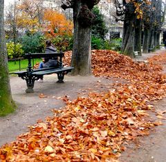 Un pré carré d'automne jalousement gardé