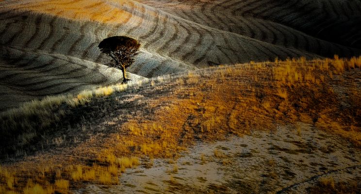 un printemps tardif!