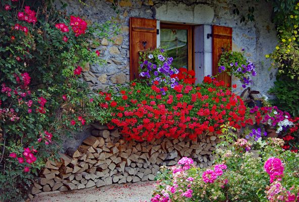un propriètaire qui a la main verte...