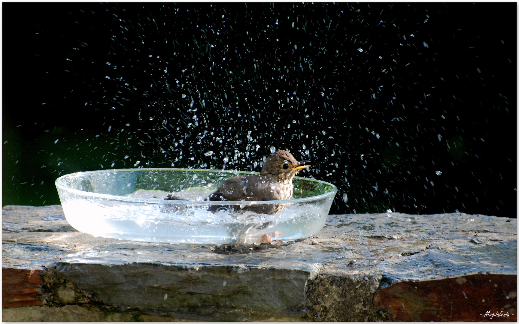 Un p'tit bain après un bon bain de soleil....