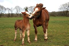 Un ptit calin....