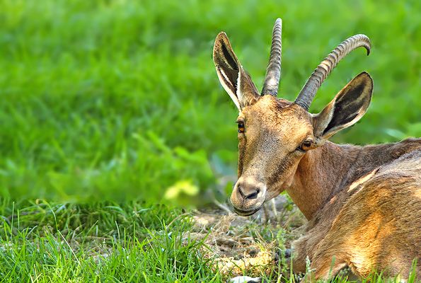 ...Un p'tit câlin...;-)