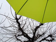 Un p’tit coin d’parapluie pour un coin de ciel gris...