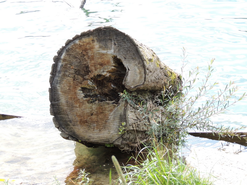 Un p'tit creux au bord de l'eau