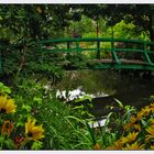 Un puente de Monet.