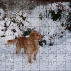 un puzzle de vanille