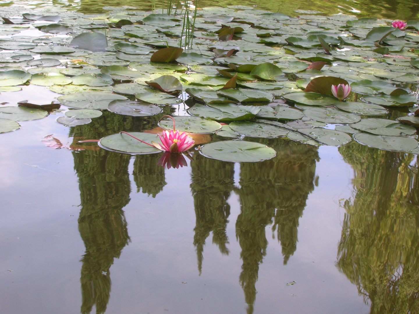 un quadro di Monet