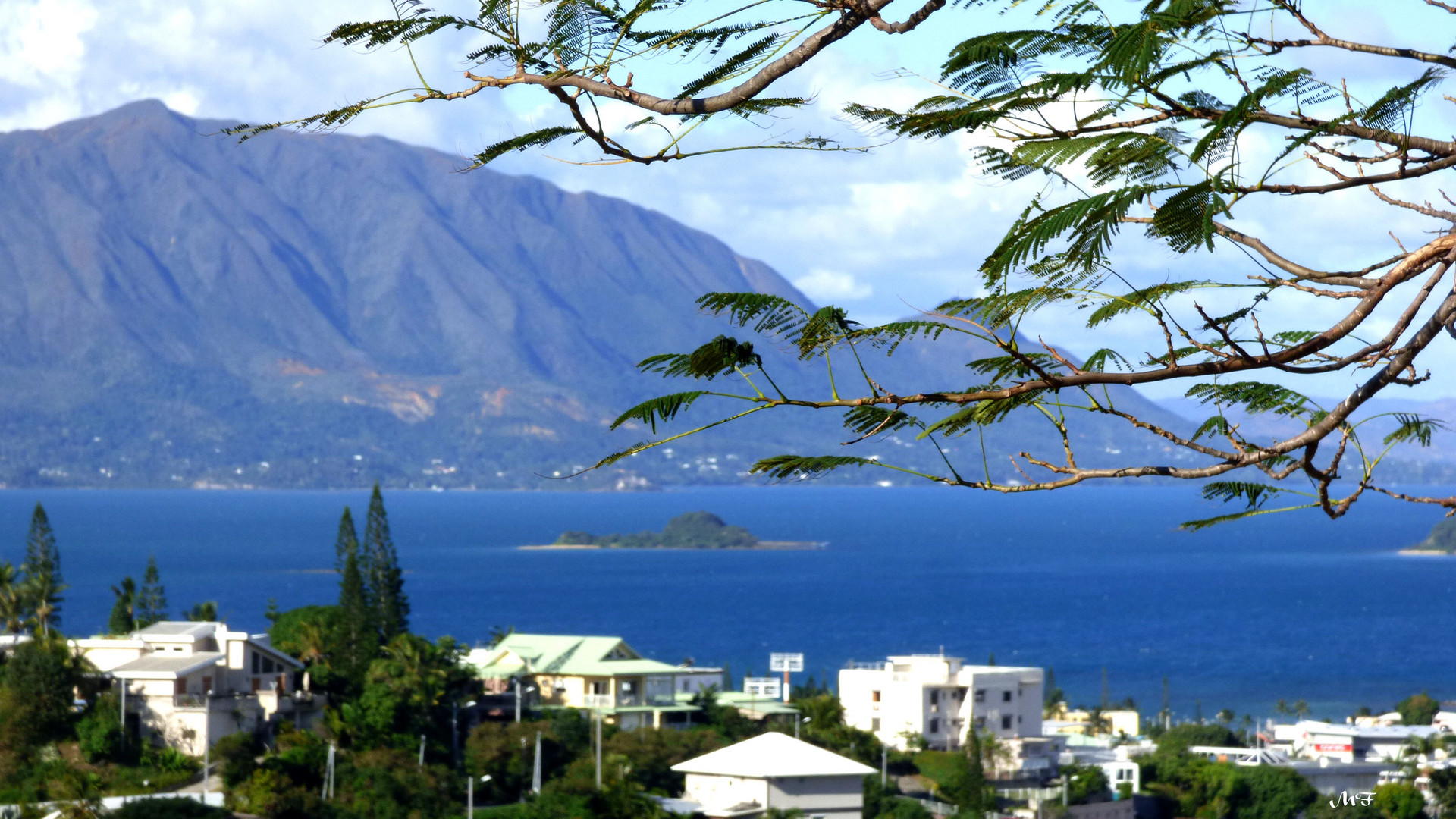 Un quartier de Nouméa