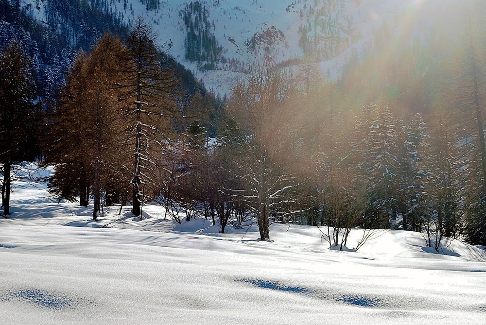 un raggio di sole