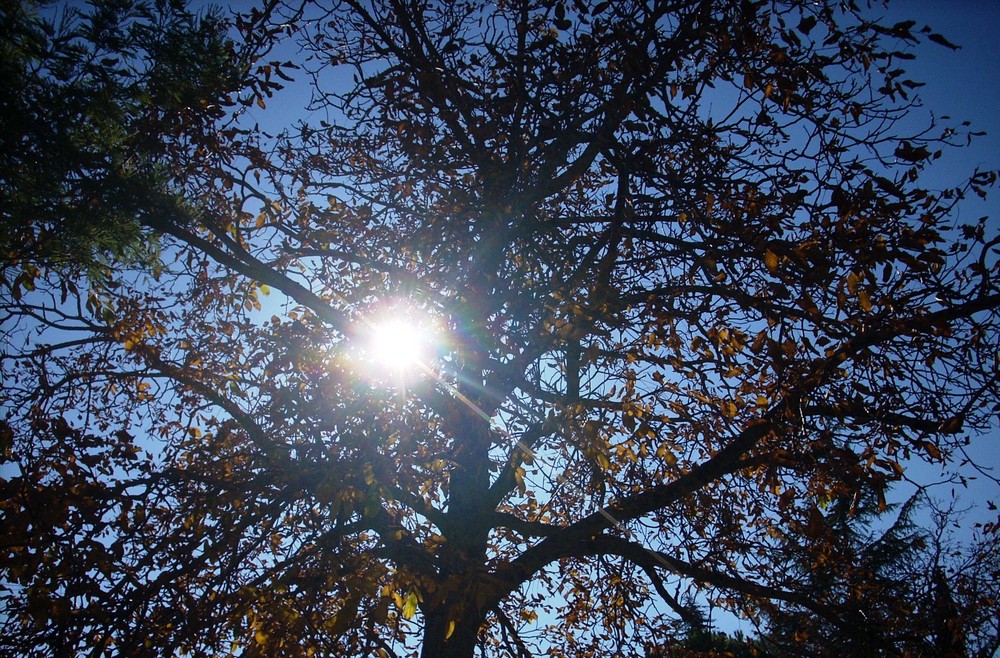 un raggio di sole...