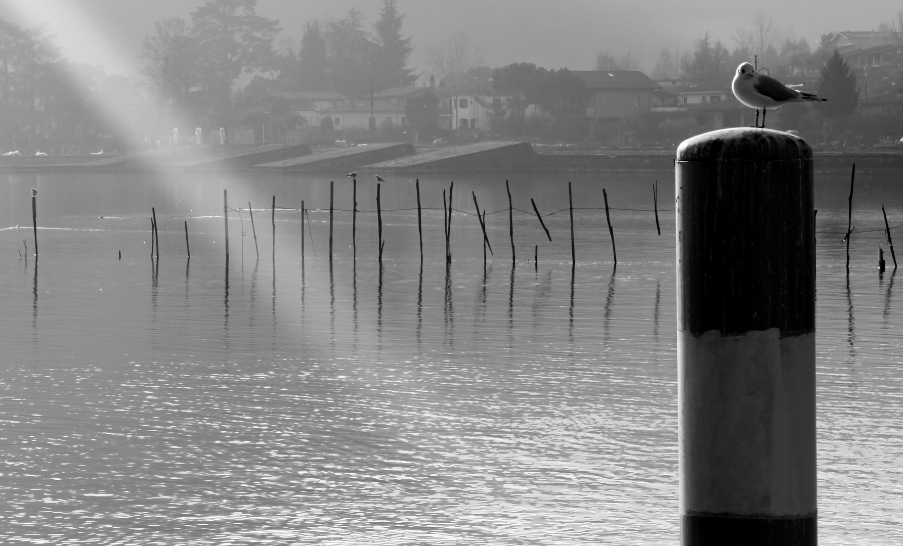 UN raGGio DI sOLe pER Te......