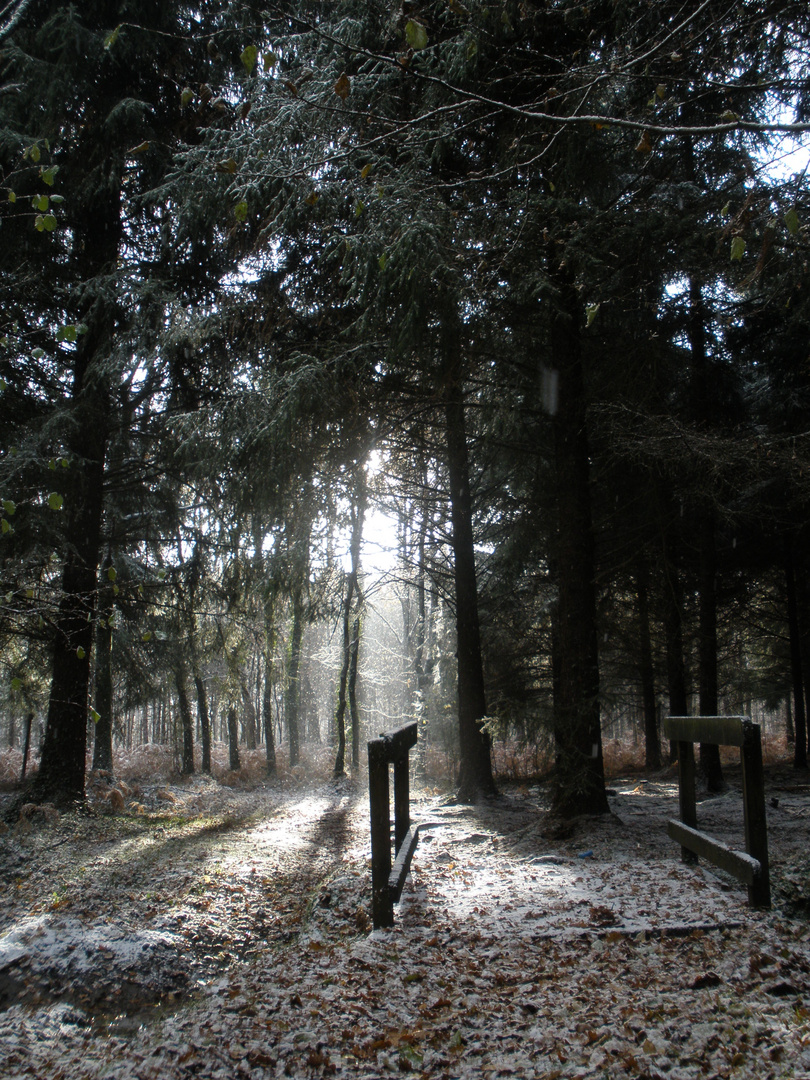 un rare instant le soleil et le neige sont au rendez vous