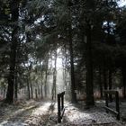 un rare instant le soleil et le neige sont au rendez vous