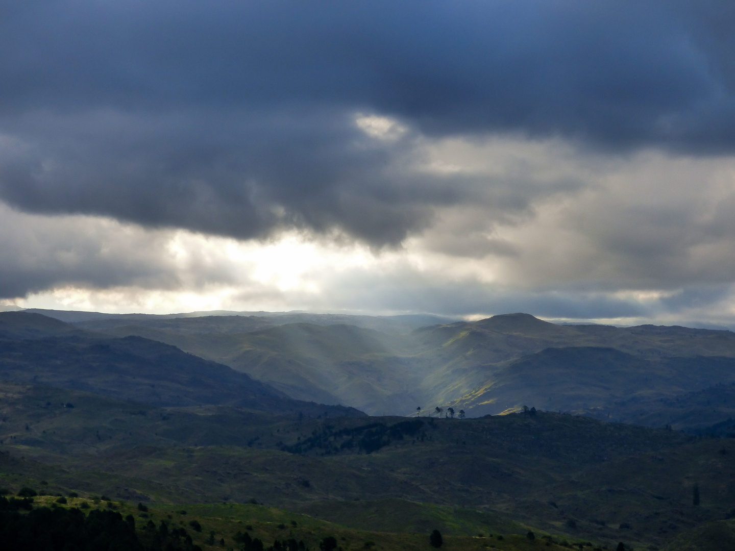 Un rayo de luz en una tarde gris