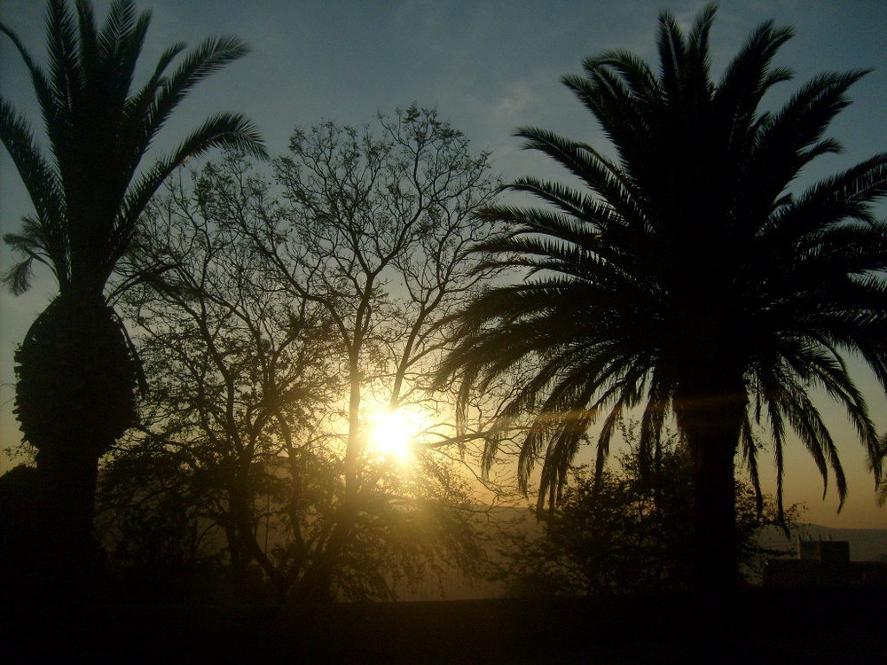 ...Un Rayo De Primavera...