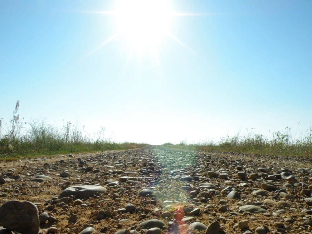 Un rayo de sol en el camino