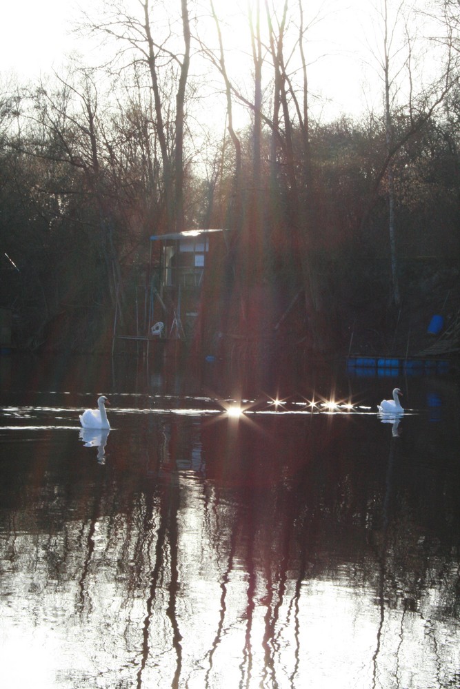 Un rayon de soleil sur le lac