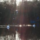 Un rayon de soleil sur le lac