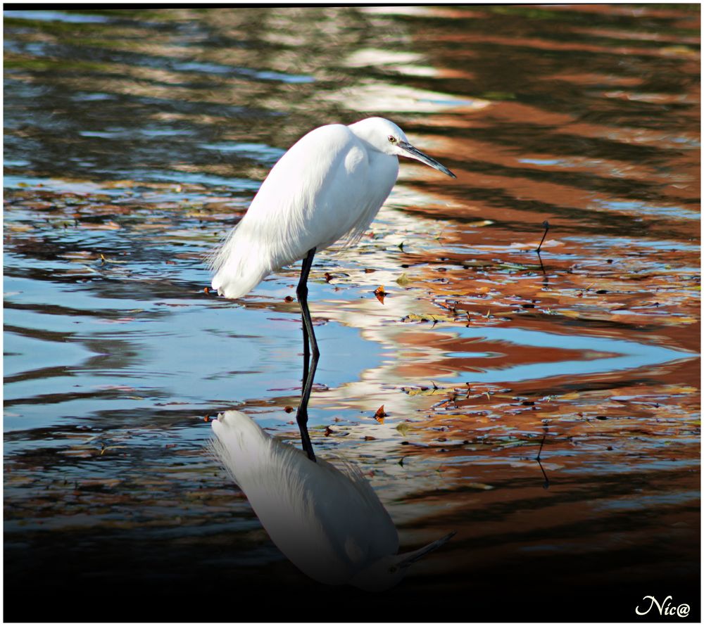 Un reflejo bajo mis pies!!!