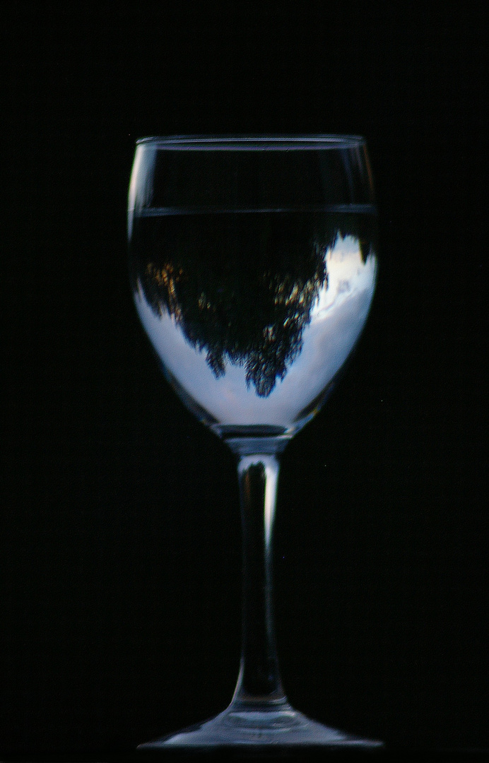 un reflet dans le verre