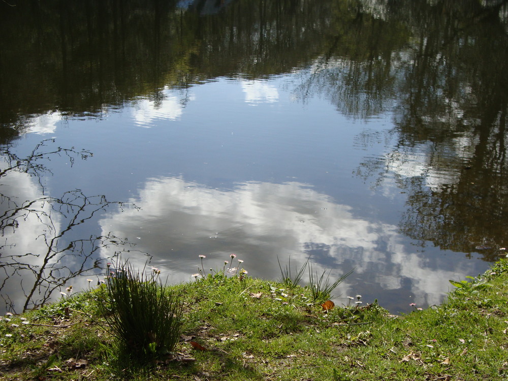 un reflet du printemps