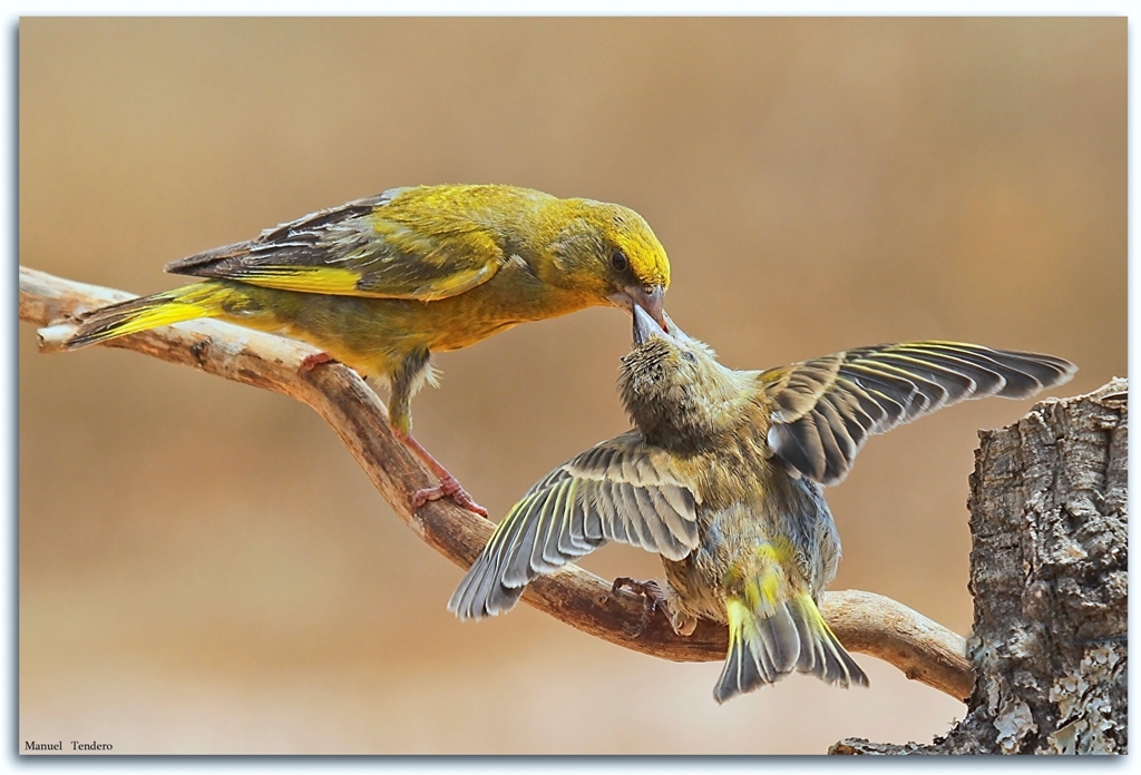 UN REGALO DE LA NATURALEZA