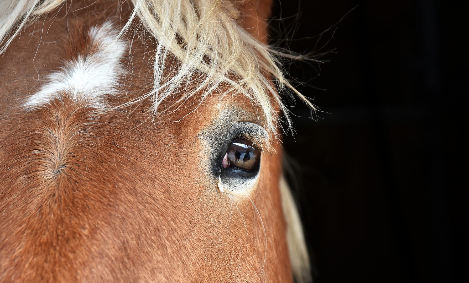 un regard !