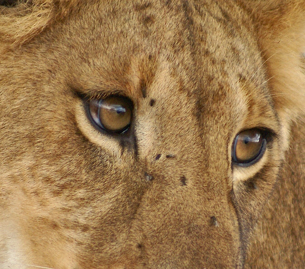 Un regard