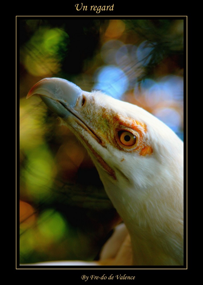 Un regard