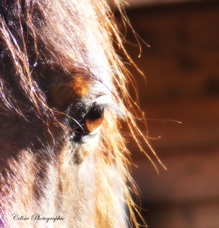 un regard de bienveillance