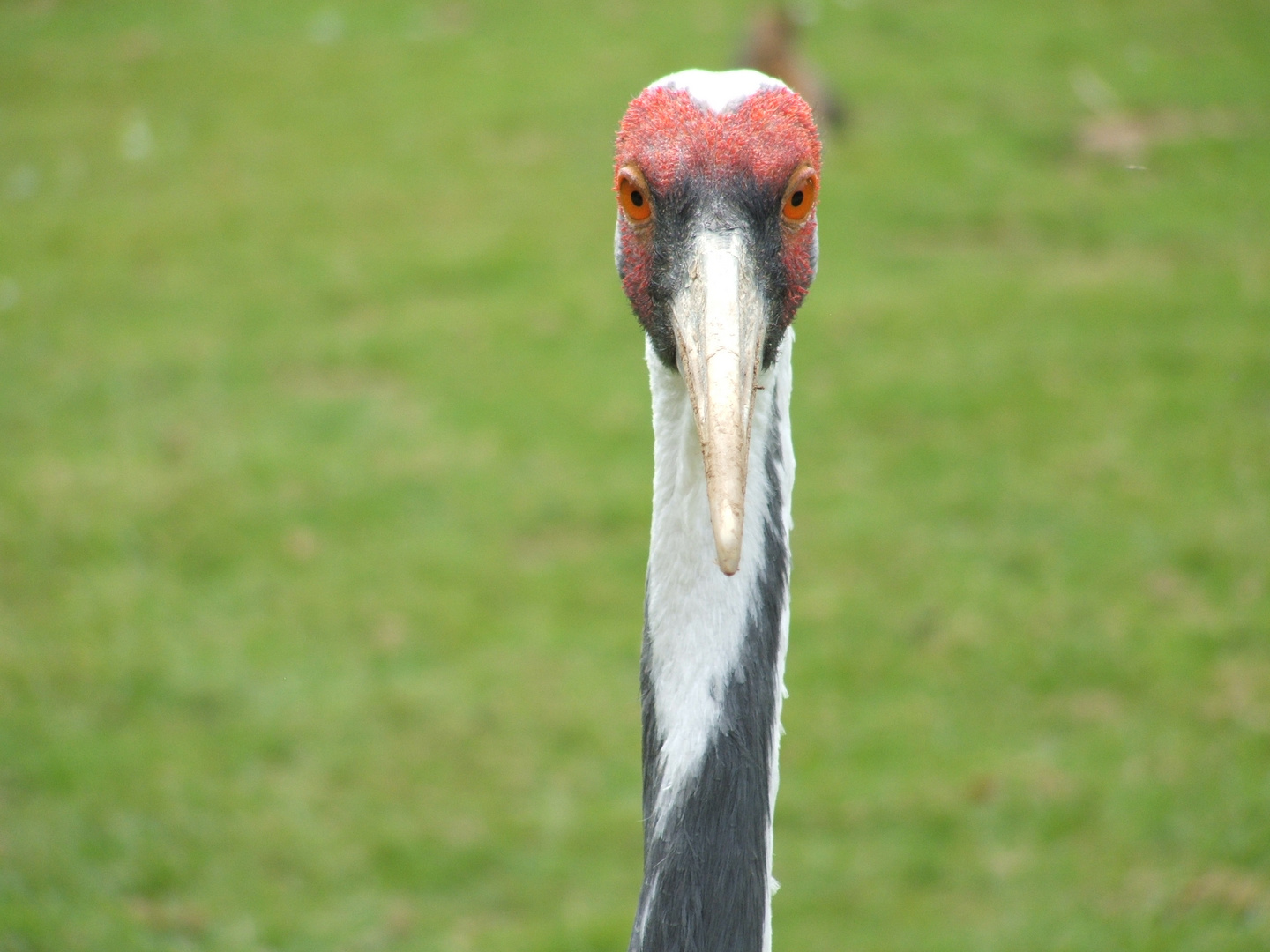 un regard