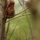 un regard intéressé