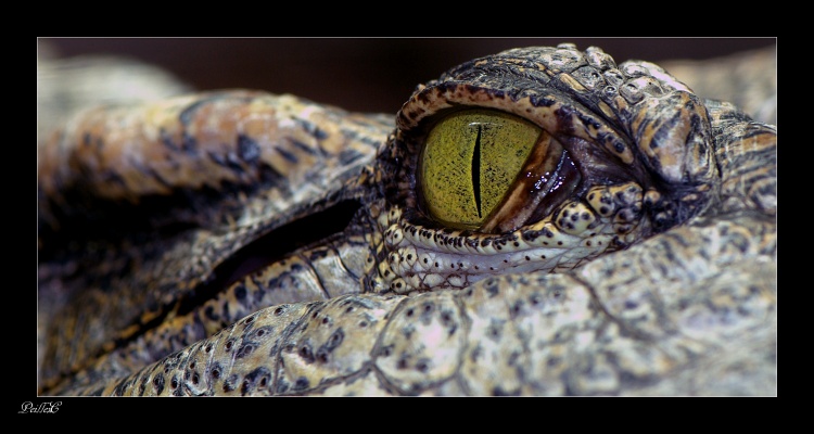 un regard préoccupant!