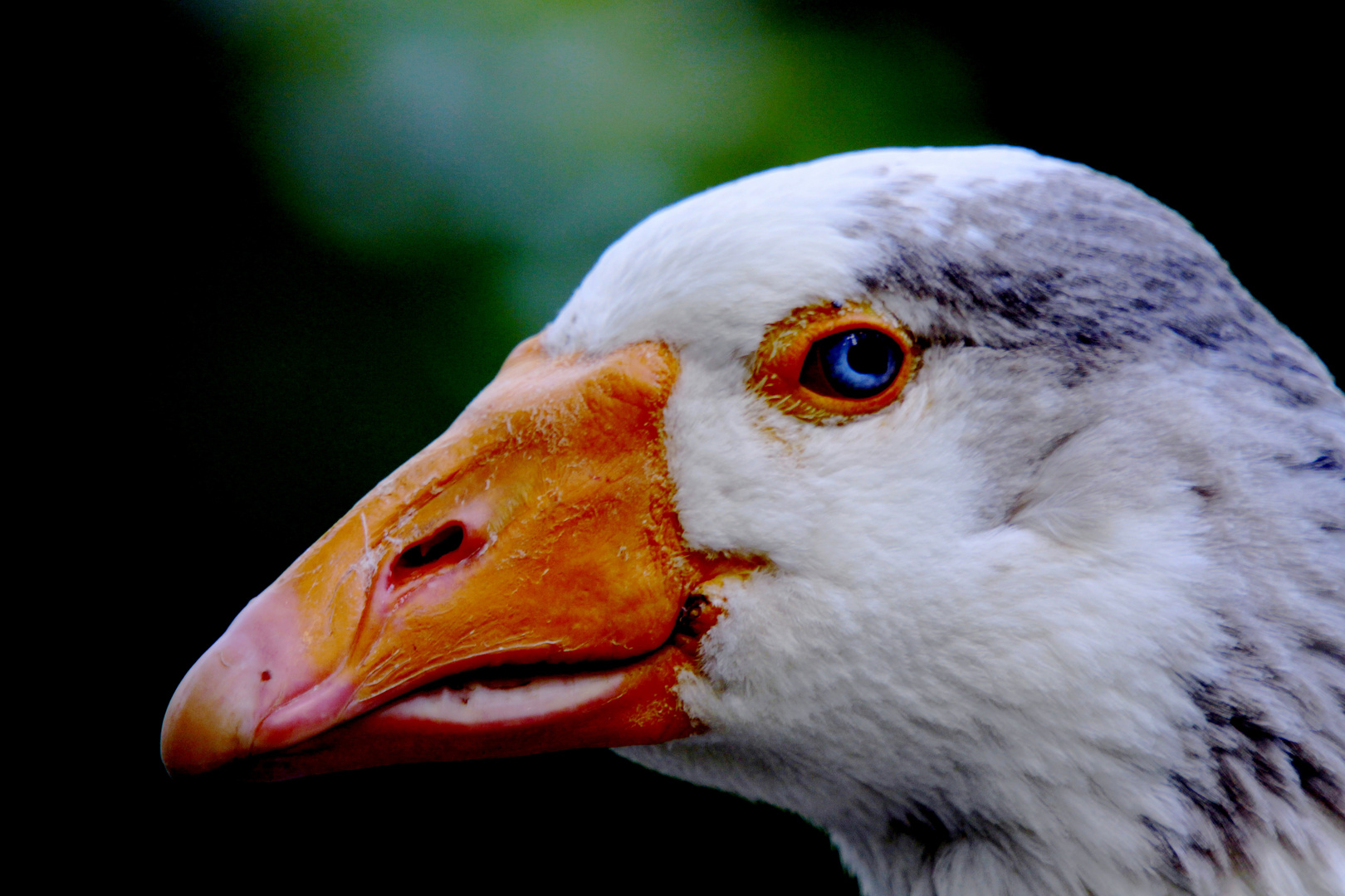 un regard qui tue