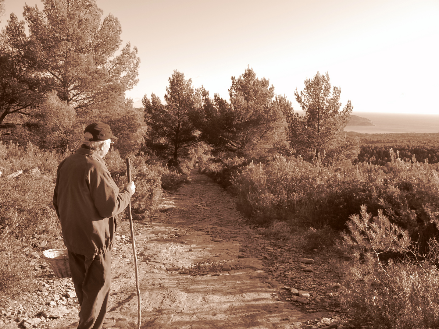 Un Regard Tourne Vers L Avenir Photo Et Image Personnes Images Fotocommunity