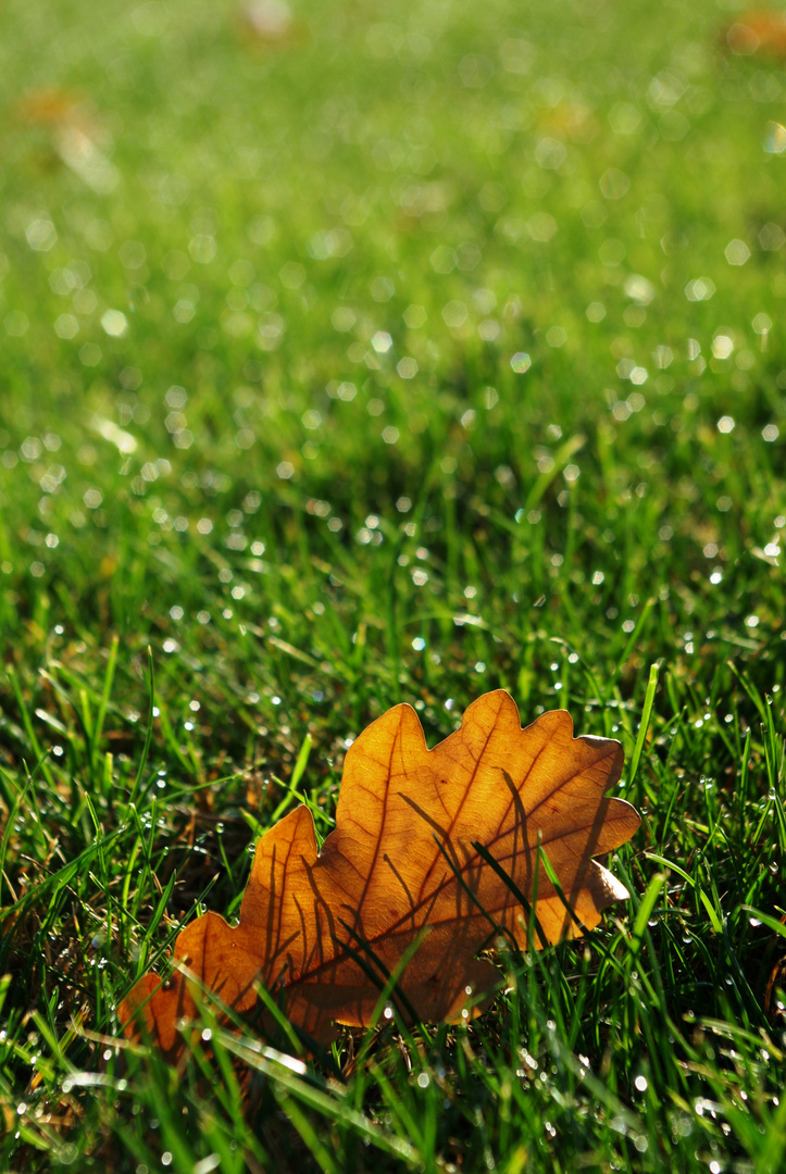 Un retour sur l'automne.