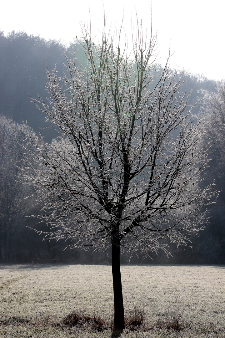 Un réveil blanc