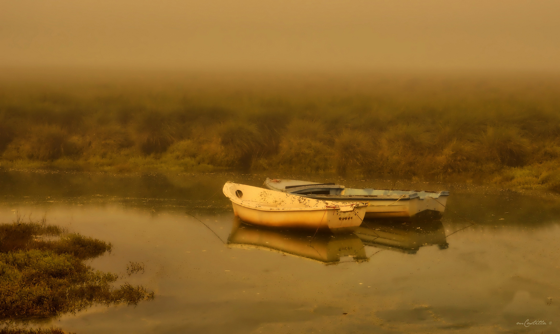 un rincón de marismas del odiel