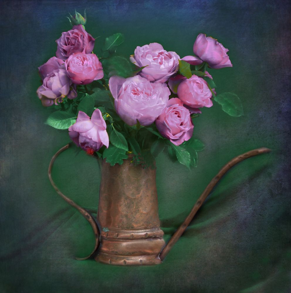 Un rinconcito de entonces Foto & Bild naturaleza, flores, naturaleza