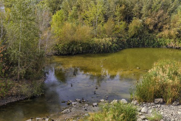 UN RINCONCITO DEL RÍO GUADALQUIVIR