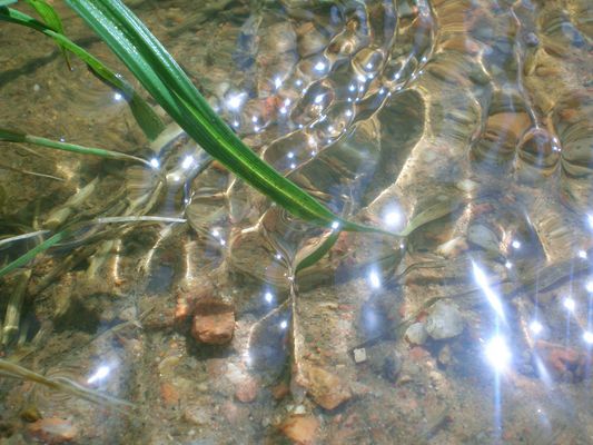 Un rivière improvisée