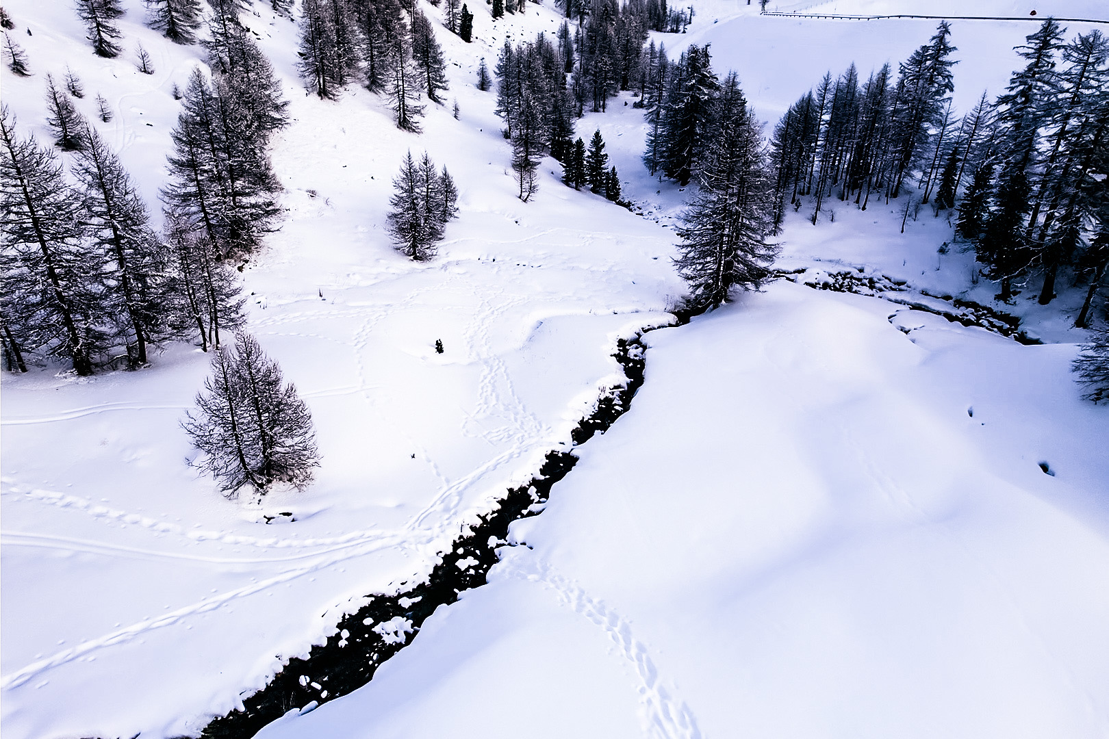 Un ruisseau à 2700 mètres 