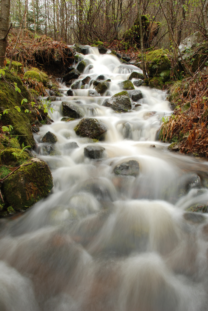 Un ruisseau de moyenne montagne