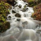 Un ruisseau de moyenne montagne