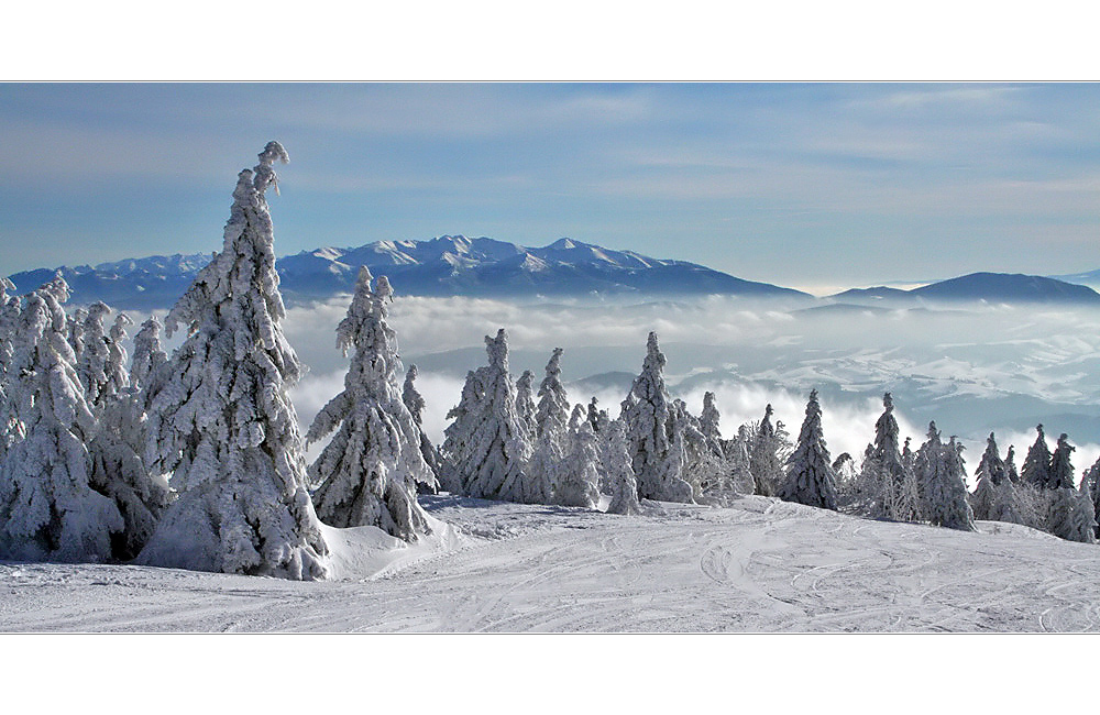 Un rêve d'hiver